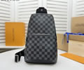 Louis Vuitton Damier Graphite Chest bag