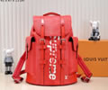 Louis Vuitton CHRISTOPHER BackPack LV