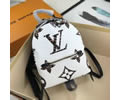 Louis Vuitton BackPack LV