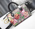 Gucci Gram Tian Women Bag