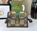 Gucci Ophidia Women Bag