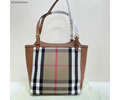 BURBERRY House Check bag best