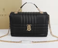 BURBERRY bag best quality