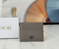Dior Card bag