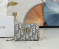Dior Wallet