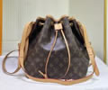 Louis Vuitton Womens Bag LV