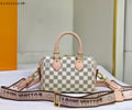 Louis Vuitton PEEDY BANDOULIERE 20 Bag LV