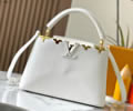 Louis Vuitton Capucines Size L Bag LV