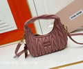 MiuMiu Wander bag best quality