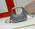 MiuMiu Wander bag best quality