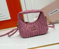 MiuMiu Wander bag best quality
