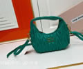 MiuMiu Wander bag best quality