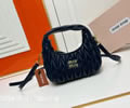 MiuMiu Wander bag best quality