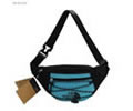 The North Face Waist Pack