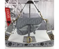 Dior Saddle bag