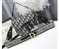 Dior Womens bag