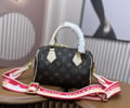 Louis Vuitton Women Bag LV