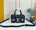 Louis Vuitton Women Bag LV