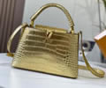 Louis Vuitton Women Bag LV