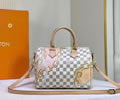 Louis Vuitton Women Bag LV