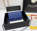 CHANEL Woc Women bag