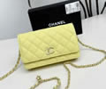 CHANEL Woc Women bag