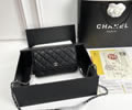 CHANEL Woc Women bag