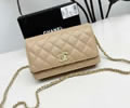 CHANEL Woc Women bag