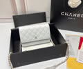 CHANEL Woc Women bag