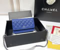 CHANEL Woc Women bag