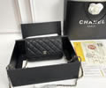 CHANEL Woc Women bag