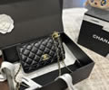 Chanel Woc Women bag best quality
