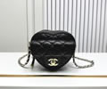 CHANEL Women bag