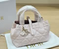 DIOR Vertical Toujours bag best quality