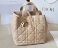 DIOR Toujours bag best quality