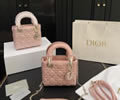 Dior bag best quality