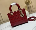 Dior bag Szie 24CM