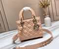 Dior bag Szie 20CM
