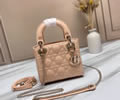 Dior bag Szie 17CM