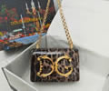 Dolce&Gabbana DG Bag