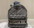 DIOR Backbag bag best quality