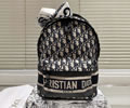 DIOR Backbag bag best quality
