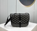 Goyard Plumet Lovers bag