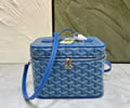 Goyard Vanity muse bag