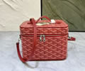 Goyard Vanity muse bag