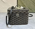 Goyard Vanity muse bag