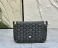 Goyard PLUMET bag