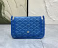 Goyard PLUMET bag