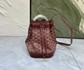 Goyard Petit Flot bag