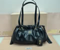 MiuMiu bag